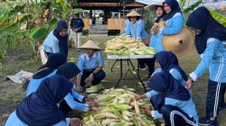Lanud RSA Natuna Panen Jagung Pulut, Wujudkan Ketahanan Pangan Nasional