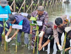 TNI AL Dan PT Vale Indonesia Tanam 2.000 Mangrove di Luwu Timur, Sinergi Nyata Jaga Ekosistem Pesisir