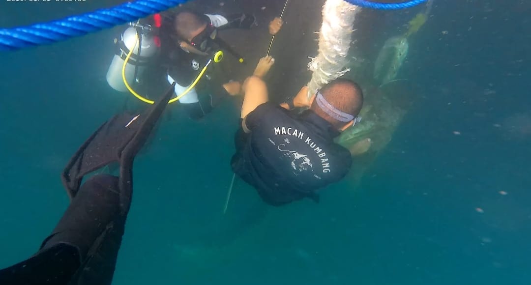 Angkatan laut