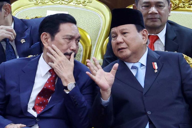 Luhut Binsar Pandjaitan Ketua DEN