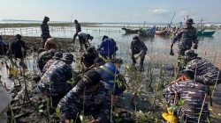 TNI AL Lanal Semarang Galang Aksi Penanaman Mangrove Cegah Abrasi di Pantai Mangunharjo