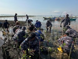 TNI AL Lanal Semarang Galang Aksi Penanaman Mangrove Cegah Abrasi di Pantai Mangunharjo