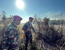 TNI AL Bersatu dengan Masyarakat Padamkan Kebakaran Hutan di Tarakan