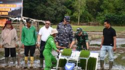 Ini Jawaban TNI atas Perintah Prabowo Gibran: Serbu Sawah, Bantu Rakyat