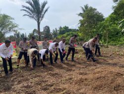 Polres Natuna Gelar Penanaman Jagung Serentak Dukung Swasembada Pangan Nasional