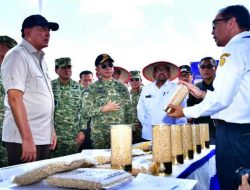 Tak Hanya Tempur, TNI AL Buktikan Bisa Swasembada Kedelai Program Unggulan RI 1