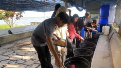 UMRAH Transformasi budidaya Ikan di Pulau Penyengat Jadi Destinasi Wisata Edukasi Berkelanjutan