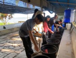 UMRAH Transformasi budidaya Ikan di Pulau Penyengat Jadi Destinasi Wisata Edukasi Berkelanjutan