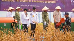 panen raya kedelai varietas unggul Garuda Merah Putih