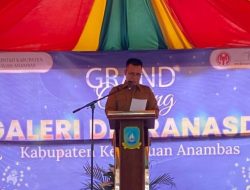 Galeri Dekranasda Secara Resmi di Buka Oleh Bupati Anambas