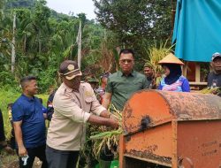 Dorong Swasembada Pangan, Aneng Hadiri Panen Perdana Desa Rewak