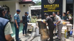 Angkatan laut berhasil tumpas penyelundupan kulit hewan