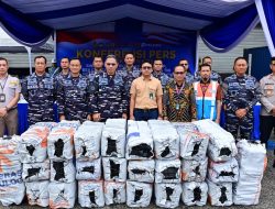 TNI AL Gagalkan Penyelundupan 74 Ton Arang Bakau, Selamatkan Ribuan Pohon Mangrove dari Abrasi