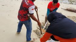 Pemuda Natuna Gotong Royong Cegah Abrasi di Tengah Cuaca Ekstrem