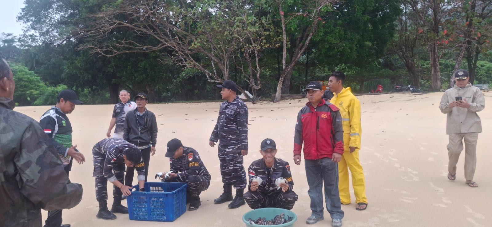 Angkatan Laut Indonesia
