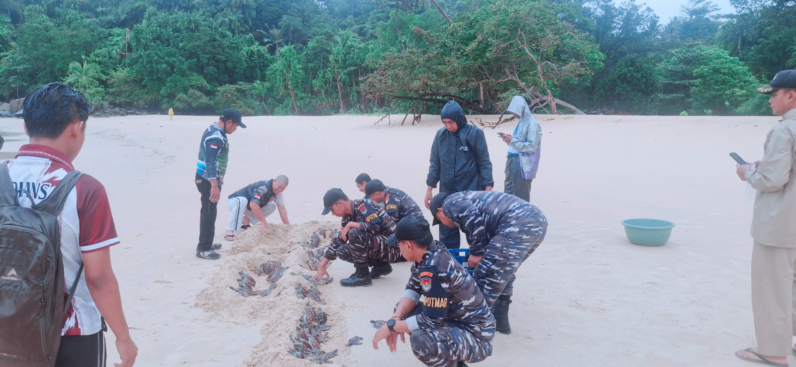 TNI ANGKATAN LAUT REPUBLIK INDONESIA LEPASKAN ANAK PENYU