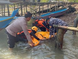 3 Hari Mencari, TNI AL dan Tim Gabungan Evakuasi Korban Lompat dari Jembatan Barelang