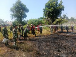 Sigap, Prajurit Batalyon Komposit 1Gardapati Kerahkan Tim Karhutla Padamkan Api di Perumahan Pemda Natuna