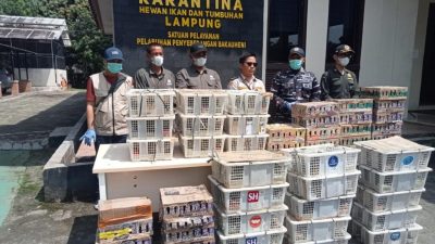 Tim Fleet One Quick Response (F1QR) Pangkalan TNI AL (Lanal) Lampung