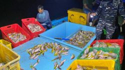 TNI AL dan HNSI Gagalkan Aksi Bom Ikan di Singkawang, Kapal Muatan Ikan Hasil Peledakan Diamankan