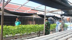 Kodim 0318 Natuna Gelar Penyuluhan Pertanian di Desa Pian Pasir dalam Rangka TMMD 128 Anambas