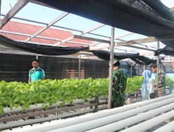 Kodim 0318 Natuna Gelar Penyuluhan Pertanian di Desa Pian Pasir dalam Rangka TMMD 128 Anambas