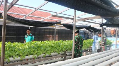 Kodim 0318 Natuna Gelar Penyuluhan Pertanian di Desa Pian Pasir dalam Rangka TMMD 128 Anambas