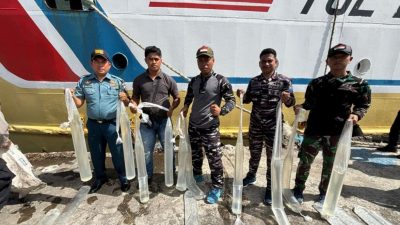 TNI AL Gagalkan Penyelundupan Miras Sopi di Pelabuhan Banda Naira, Langsung Dimusnahkan