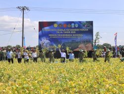 Sinergi TNI AL dan Petani di Nganjuk Sukseskan Swasembada Pangan, Bupati: Ini Bukti Nyata Kedekatan Rakyat