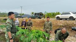 Pangkogabwilhan I Tinjau Kompi Produksi Kodim Natuna: Wujudkan Ketahanan Pangan  Swasembada di Wilayah Terdepan