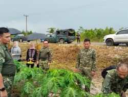 Pangkogabwilhan I Tinjau Kompi Produksi Kodim Natuna: Wujudkan Ketahanan Pangan  Swasembada di Wilayah Terdepan