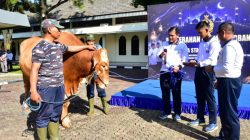 Kepala Staf Angkatan Laut (Kasal) Laksamana TNI Dr. Muhammad Ali menyerahkan total 53 hewan kurban