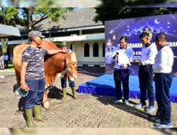 Kasal Laksamana TNI Muhammad Ali Serahkan 53 Hewan Kurban, Perkuat Solidaritas Jelang Idul Adha 1447 H di Mabesal