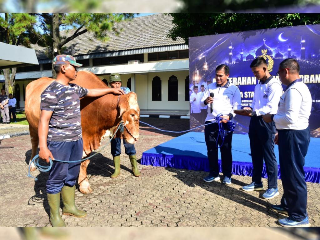 Kepala Staf Angkatan Laut (Kasal) Laksamana TNI Dr. Muhammad Ali menyerahkan total 53 hewan kurban