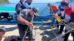 Transplantasi Terumbu Karang di Pulau Pasumpahan dalam Rangka Hari Lingkungan Hidup Sedunia