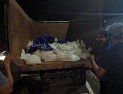 TNI AL Gagalkan Penyelundupan 6 Ton Pasir Timah Ilegal di Belinyu, Selamatkan Kerugian Negara Hampir Rp6 Miliar