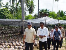 WAGUB: Pengembangan Bibit Kelapa Unggul Lokal di Natuna Dorong Produktivitas Perkebunan Masyarakat