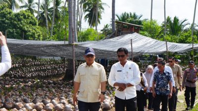 Wakil Gubernur Kepulauan Riau, Nyanyang Haris, meninjau langsung perkembangan program ini dalam rangkaian kunjungan kerja di Natuna