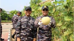 Tinjau Lanal Lampung, Panglima Koarmada RI Panen Melon Hingga Perkuat Infrastruktur Maritim