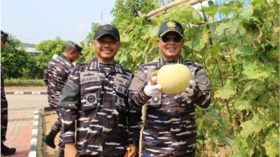 Tinjau Lanal Lampung, Panglima Koarmada RI Panen Melon Hingga Perkuat Infrastruktur Maritim