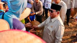 Bukan Cuma Penjaga Laut, TNI AL Kini Jadi Garda Terdepan Panen Kedelai Nasional