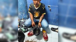 Pasar Empuk, Jaringan Narkoba yang Mengincar Tanah Papua