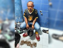 Pasar Empuk, Jaringan Narkoba yang Mengincar Tanah Papua