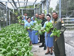 Panen Sawi Pakcoy di Lanud RSA Natuna: Bukti Nyata Ketahanan Pangan dari Lahan Sederhana