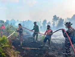 TNI AL dan Satgas Karhutla Berjibaku Padamkan Puluhan Hektare Lahan Gambut di Kotawaringin Barat, 26 Titik Panas Terpantau
