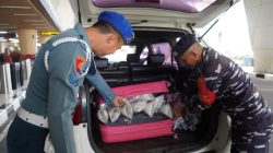 TNI AL Bersama Stakeholder Gagalkan Penyelundupan BBL Senilai Rp6,1 Miliar di Bandara Juanda