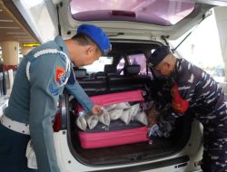 TNI AL Bersama Stakeholder Gagalkan Penyelundupan BBL Senilai Rp6,1 Miliar di Bandara Juanda