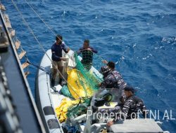 Pantang Menyerah di Hari ke 16, Tim Penyelam Angkatan Laut Kembali Temukan Lima Korban KM Virgo Transport 8