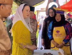 Karnaval Budaya Meriahkan HUT ke-27 Kabupaten Natuna 2026, Tampilkan Kekayaan Tradisi rakyat