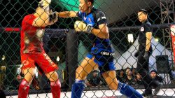 MMA